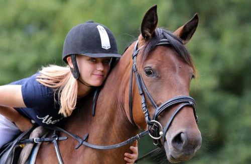 Saint-Fargeau House | SAS Le Hameau des Grilles