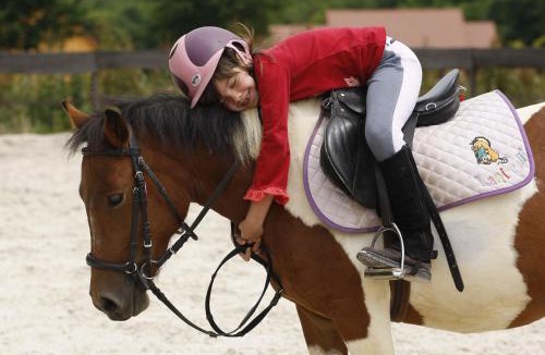 Saint-Fargeau House | SAS Le Hameau des Grilles