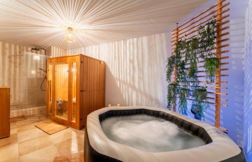 Piolenc House | Sauna et Spa, piscine chauffée, Gîte le Carrousel