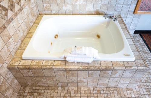 Savanna Hotel | Savanna Inn & Suites