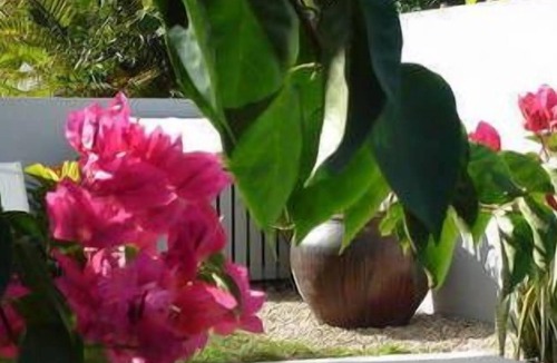 Mission Beach Cottage | Savannah Breeze Cottage