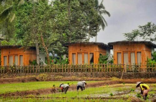 Kayangan Hotel | Sawah Ijen