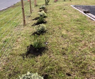 Scalloway Other | Scalloway Caravan Park