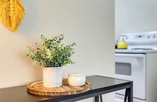 Ballard Apartment | Scandi Boho Seattle Apartment, Walk to Waterfront!