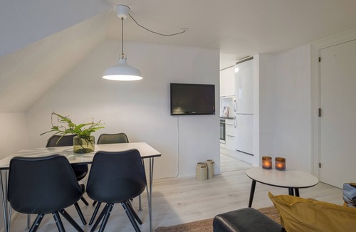 Aalborg Apartment | Scandinavian Charm in Aalborg