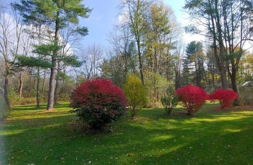 Etna House | Scenic and Spacious 3 Bedroom Retreat- Pet Friendly!
