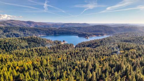 Pollock Pines House | Scenic Forest Cabin with Deck l Best Value for Weekly & Monthly Stays