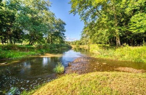 Titusville House | Scenic Log Cabin with Fire Pit and Stocked Creek!