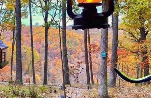 Eureka Springs Cabin | Scenic Mountain view cabin,Fireplace, Kayaks, Lake Access ,Grill,Eureka Springs