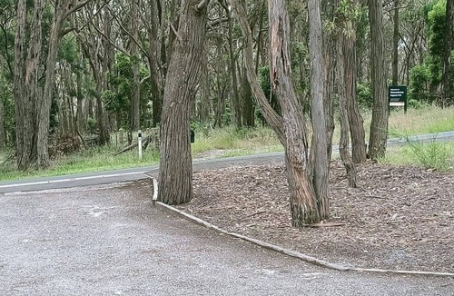 Mount Helen House | Scenic pet friendly home that sleeps 10