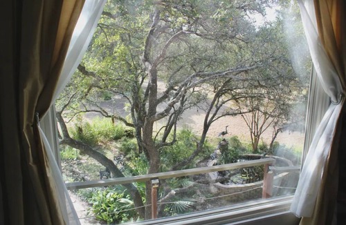 Manchaca Apartment | Scenic Treehouse Apartment