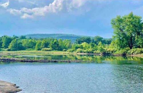 Montague House | Scenic Views & River Access, Cozy River Home