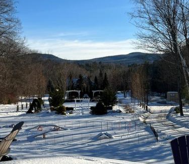 Intervale Hotel | Scenic Vista Inn