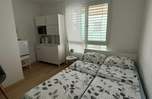 Andelfingen District Apartment | schönes 1 Zimmer Studio mit privatem Badezimmer