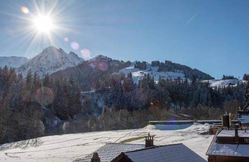 Adelboden Apartment | Schützenrain 1. Stock
