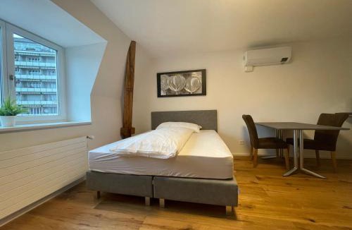 Rapperswil Apartment | SCHNYDER'S HOME Studio 2