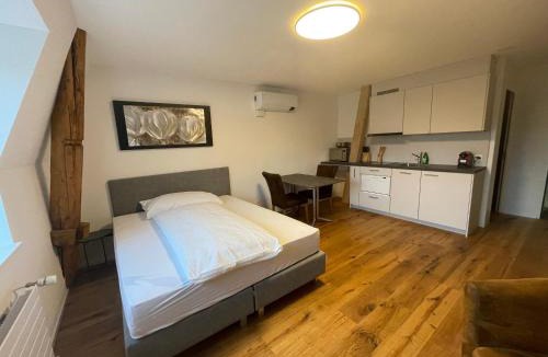 Rapperswil Apartment | SCHNYDER'S HOME Studio 2