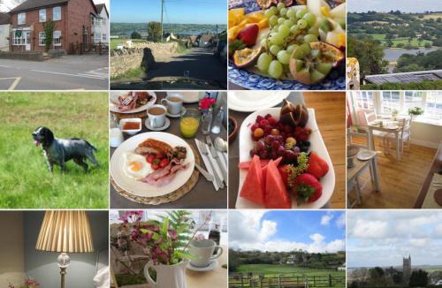 Blagdon Bed & Breakfast | School Farm