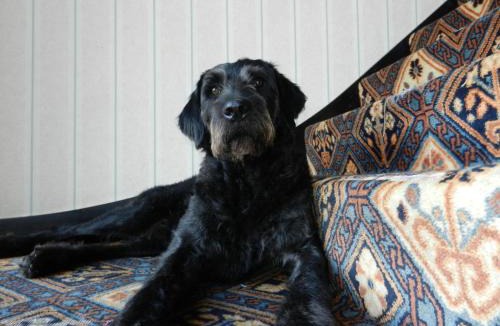 Hook Hotel | Schoolhouse Restaurant and Hotel