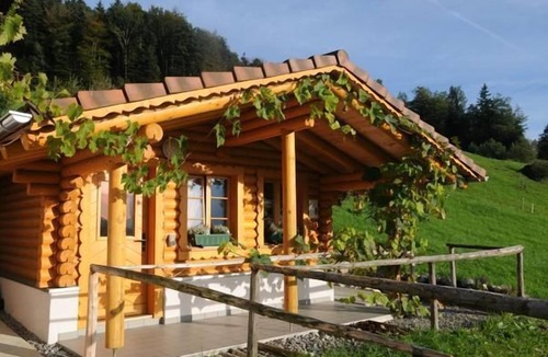 Steinen Ski Chalet | Schwarzenbachhof