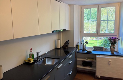 Glarus Sued Apartment | Schweizerhaus Glarus - Historic with charm, ideal for groups and families