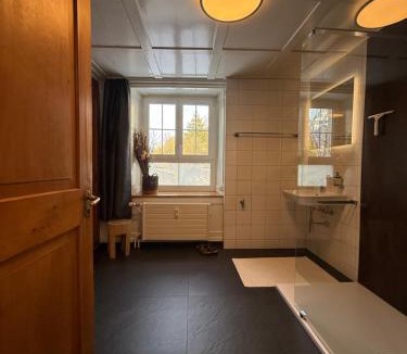 Glarus Sued Apartment | Schweizerhaus Glarus - Historisch & Stilvoll mit Garten