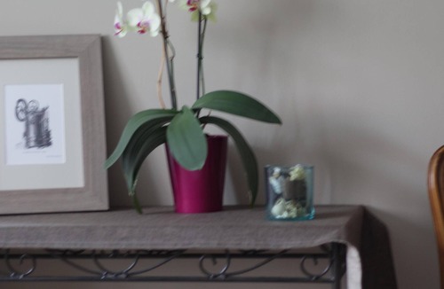 Kintzheim House | Schwilgué Double orTwin