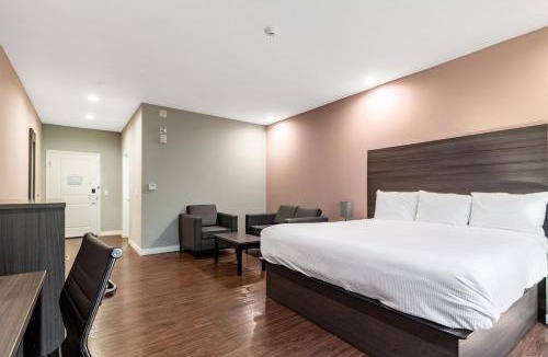 Bammel Hotel | Scottish Inns & Suites Houston, TX
