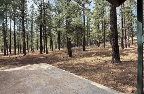 Greer Cabin | “Scout’s House” cabin on 2 acres nDog Friendly!