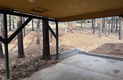 Greer Cabin | “Scout’s House” cabin on 2 acres nDog Friendly!
