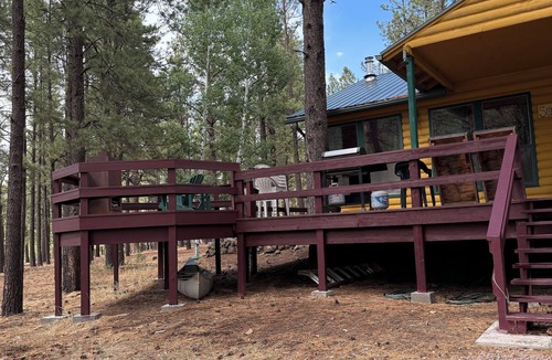 Greer Cabin | “Scout’s House” cabin on 2 acres nDog Friendly!