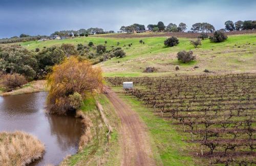 McLaren Vale House | Scrub Tiny House by Tiny Away