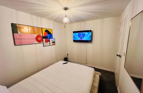 Hilton House | SD Properties