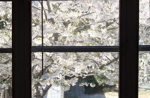 Ocean Beach House | Sea Capt's Cottage, Steps to ocean