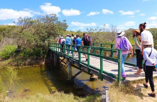Corindi Beach Villa | Sea Foam Cottage