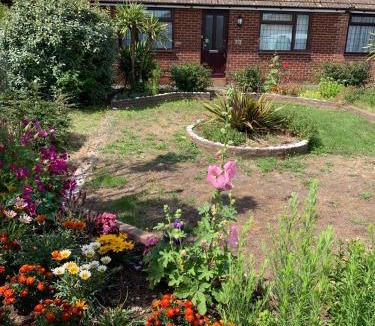 Lydd House | Sea Shells