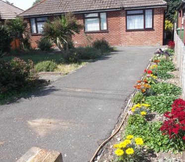 Lydd House | Sea Shells