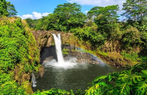 Kapoho House | Sea Turtle Life