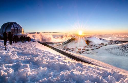 Kapoho House | Sea Turtle Life