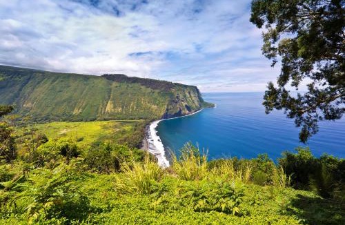 Kapoho House | Sea Turtle Life