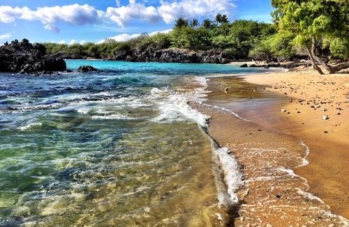 Kapoho House | Sea Turtle Life