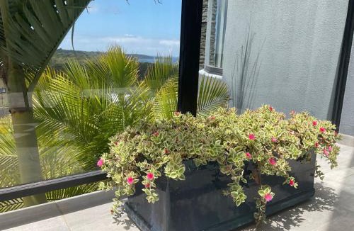 Long Beach House | Seabreeze Sanctuary managed by Batemans Bay Accom