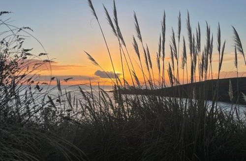 Portmellon Bed & Breakfast | Seagulls Boutique Lodgings