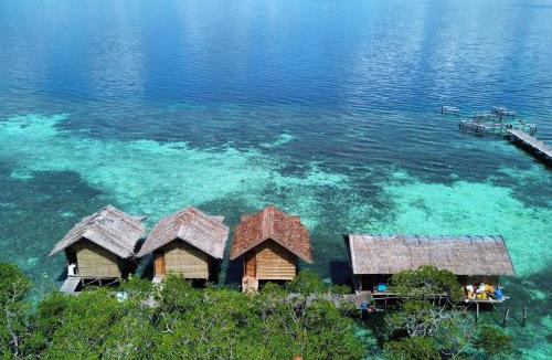 Mansuar Island House | Seahorse Homestay