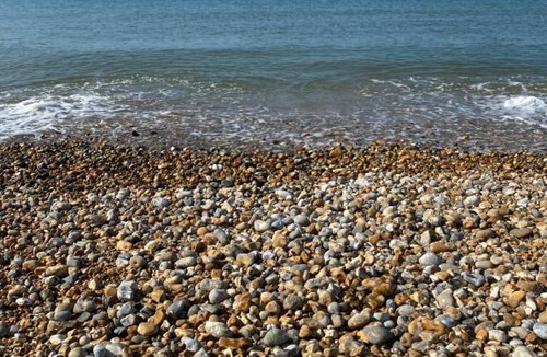 Selsey Resort | Seal Bay, West Sands