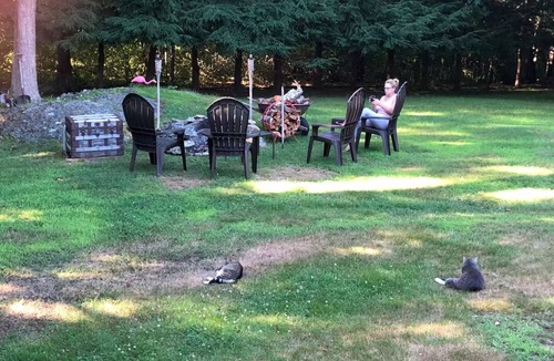 Tiverton Apartment | Seapowet suite