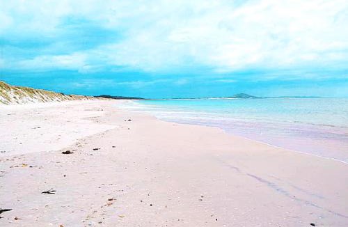 Karkari Peninsula House | Seascape Peninsula Bach