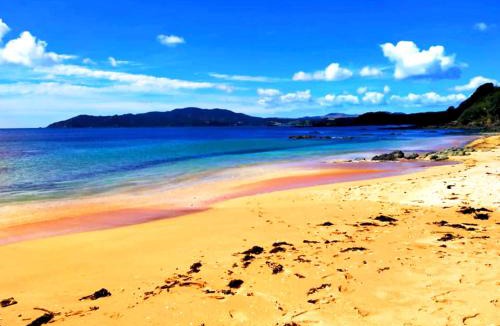 Karkari Peninsula House | Seascape Peninsula Bach