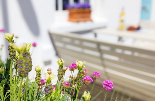 Worthing House | Seashell Cottage - Worthing