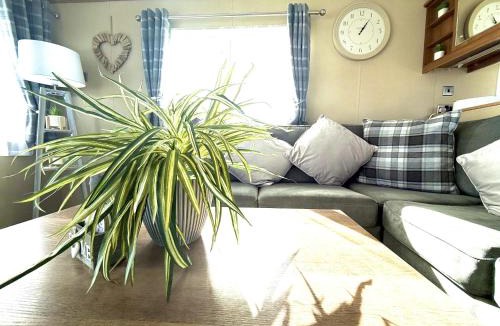 Cayton Bay House | Seashell Retreat